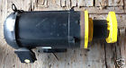 00312ep3ers213tc Weg Motor 3 Ph