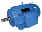 01836et3y160l-w22 Weg Metric Motor 25hp