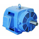 02036ot3e254tc-s Weg Nema Premium Efficiency