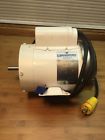 056c34w15304 Marathon Motors Washdown Mtr