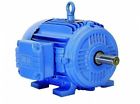 06036ep3e364ts Weg Nema Premium Efficiency