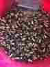 2224u012s 1000pcs Faulhaber 09575 Motor No Tested