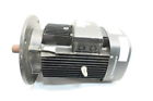132sb2-38ff265-c Grundfos New Ac Motor