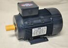 192205.00 Leeson Hp Premium Efficiency Metric Motor Free Shipping