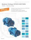 30012et3x5009-w50mv Weg 300 Hp Electric