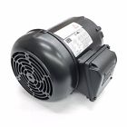 3318es3e56cfl-s .3318es3e56cfl-s Weg Motor Tefc 7909158994793