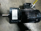 42r6bfpp-f2 Bodine Motor