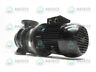 50-32cpxm125 Flowserve Gear Motor Used