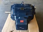 405thts8089an-f2 8b W Blue Max Vector Duty Induction