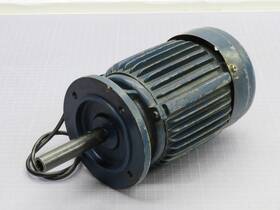 T214764 Atoli 6202zz 3-phase Induction Motor