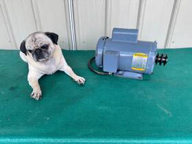 L35151t Baldor Industrial Motor 2 Hp - 3450 Rpm 115/230v 1 Phase Cat No