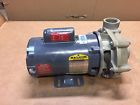 Cjl1303a Baldor 0.5hp Electric Motor