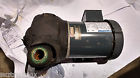 Pu009 D51cd Bf Mth Pumps Pump And Motor