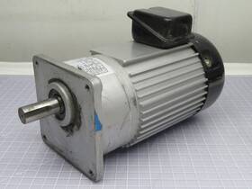 20060410023 Everroll Nf18 Single Phase Motor T199890