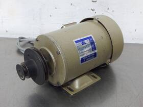 Rg-4004t Feitsew Ii Induction Motor M1558
