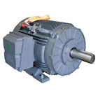 Gr3-ci-tf-256tc-4-br-d-20 Techtop Premium Efficiency Motor
