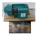 145jm Ian Fungus Proof208-230-460volt Brook