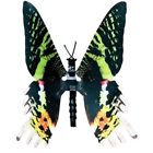 Kur Dynalloy Flexinol Moving Butterfly 688040000350