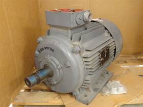 C180t11fz1c Leeson 246220 Used Ac Motor 193142.60 20hp 230/460vac 1180rpm