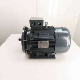 C180t34fz20a Leeson 25hp Electric Motor 200/400v 3ph 2955rpm Df180md
