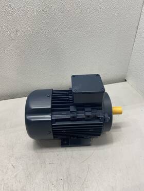 R313a Marathon Globetrotter Iec Motor 1hp