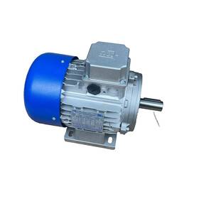 Tn90s4 Mt Motori Elettrici Tn90s/4 B3 Electric Motor