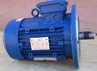 Mteps100lb4-2 Sp Ceg Motor 230-460v