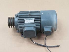 Yvp100l-4 Niu Li Motor T210719