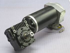 13.120.75.0.2.0 Nordson Motor W Gear Assy T254853