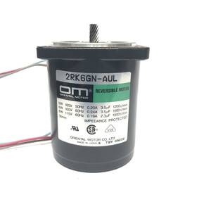 2rk6gn-aul Oriental Motor Reversible