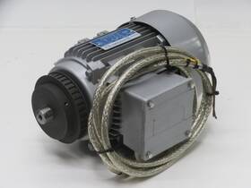 Gl-90s-6 Ra Power Three Phase Induction Motor T208667