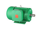 S4104 Power Tech Electric Motor Farm Duty Shaft Phase