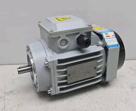 Ye2-711-4 Taizhou Xinge Motor Co 3ph Asynchronous 0.55kw 380v 1390rpm 50hz Ip55