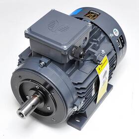 Mtp100la4d-01 Techtop 3-phase 3 Hp Inverter Duty Industrial Motor 208/230/460v 50/60hz Tefc