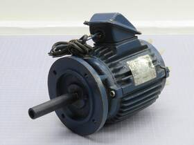 B2801472905 Teco 3-phase Induction Motor T214763