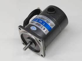 T249184 Twt T-06sp Motor