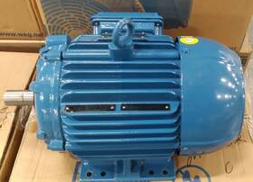 00518et-3hct184tf1 Weg Inverter Duty Ac Motor 5hp Frame 182/4f