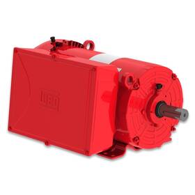 01018es1dfd215t-s Weg Electric Motors