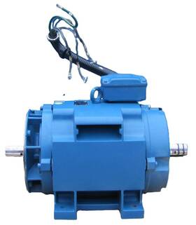 324tcz Weg 40 Hp Electric Motor 208-230/460v 3 Ph 1775 Rpm 1-7/8 Inch Double Shaft