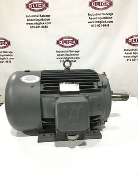 Pewwe30-36-286t Worldwide Electric Premium Efficiency 3 Phase Induction Motor