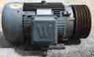 Wwem20-18-256t Bt304 Worldwide Electric Motor Type 20hp