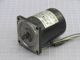 Rm-h6a6zmp039 Yokogawa Reversible Motor T244555