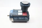 Leeson XX6T17EC22H Motor 1/2HP 1425RPM 460V-AC. Fixed Price $434.80.