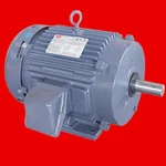 Dayton 2MXU8B 194148 General Purpose Motor, Totally Enclosed Fan Cooled, Rigid. Fixed Price $1283.50.