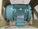 Automation Direct MTCP-003-3BD18C Ironhorse Induction Motor MTCP0033BD18C. Fixed Price $748.44.
