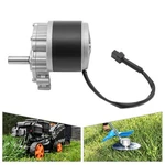 Dc MY1016Z 250W 24V Gear Brushed Motor Low Speed Beach Bike 75R/MIN. Fixed Price $58.32.