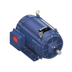 Marathon 254TTDBD6026 Three-phase General Purpose Motor, 15 Hp, Frame,. Fixed Price $1654.99.