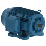 Weg 06036ET3E364TS-W22G Nema Premium Efficiency Motor 60HP 3560 Rpm Tefc 230/460. Fixed Price $3861.00.