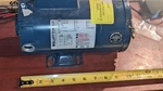 Bluffton Ac Motor 4101007408 1/3HP 1725RPM Used. Fixed Price $70.00.
