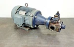 Haight Pump Worldwide Electric Motor Hp WWEM7.5-18-213TC 1750 Rpm 1-1/2" Npt. Fixed Price $589.60.
